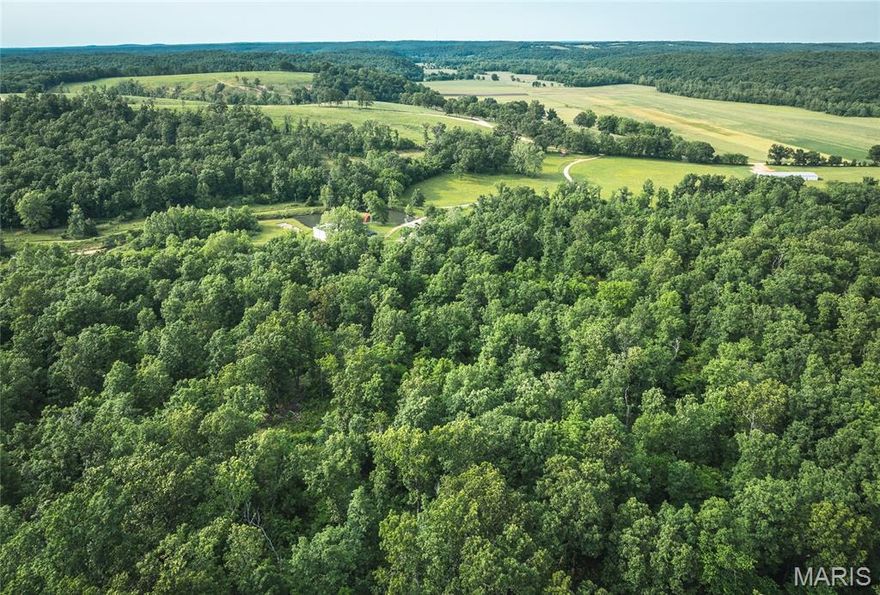 Own a rare piece of paradise with stunning acreage featuring your very own private gravel bar on the Upper Meramec River. This exceptional property boasts prime building sites, a blend of lush pasture and mature timber, and multiple barns, ponds, and river—making it ideal for horses, cattle, or an ultimate recreational retreat. Anglers will appreciate world-class trophy smallmouth and largemouth bass fishing, along with some of the finest goggle-eye fishing in the Ozarks. Just a short drive to Maramec Spring Park. Wildlife abounds, with large whitetail deer and thunderous gobblers filling the landscape. A spring-fed pond in front of the house, complete with a classic bridge. The property offers a bunkhouse/guest cottage for visitors, a large barn/warehouse-style building to store equipment, UTVs, a lodge-style main home, built with impeccable attention to detail, offering multiple beds and baths—perfect for hosting guests with a rooftop deck and covered porch for breathtaking views.