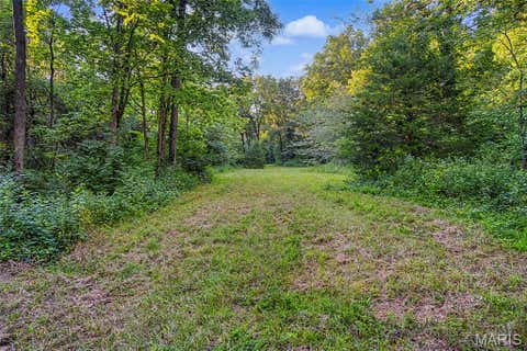 Tiny photo for 10 Henebry Hills Lane, Troy, MO 63379 (MLS # 26047586)