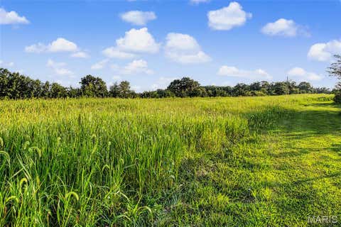 Tiny photo for 10 Henebry Hills Lane, Troy, MO 63379 (MLS # 26047586)