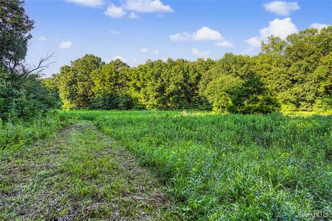 Tiny photo for 10 Henebry Hills Lane, Troy, MO 63379 (MLS # 26047586)