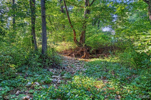 Tiny photo for 10 Henebry Hills Lane, Troy, MO 63379 (MLS # 26047586)