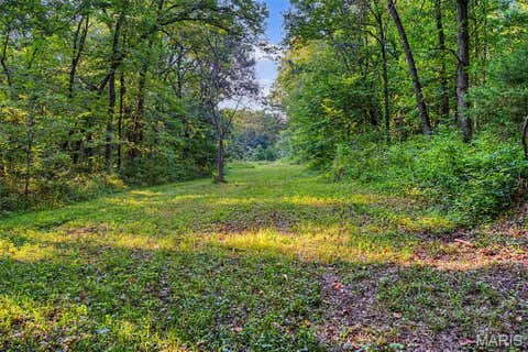 Tiny photo for 10 Henebry Hills Lane, Troy, MO 63379 (MLS # 26047586)