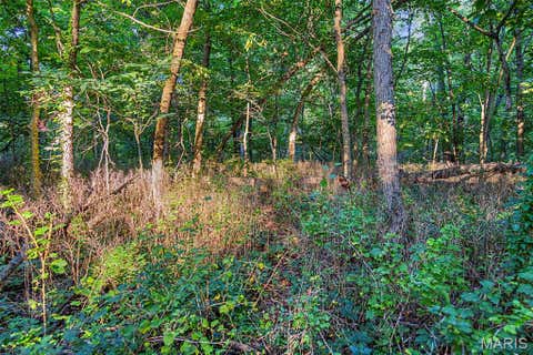 Tiny photo for 10 Henebry Hills Lane, Troy, MO 63379 (MLS # 26047586)