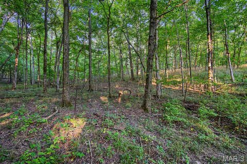 Tiny photo for 10 Henebry Hills Lane, Troy, MO 63379 (MLS # 26047586)