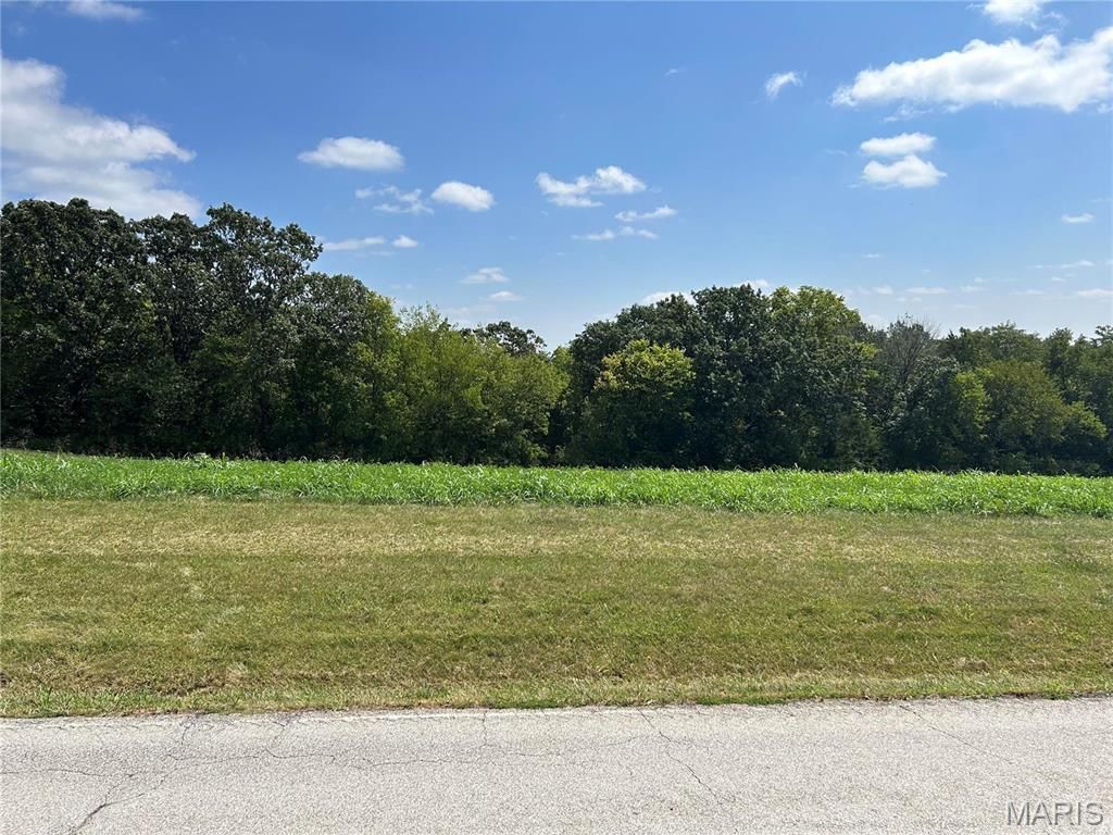 Photo of 4909 Elder Rd, Villa Ridge, MO 63089 (MLS # 26030252)