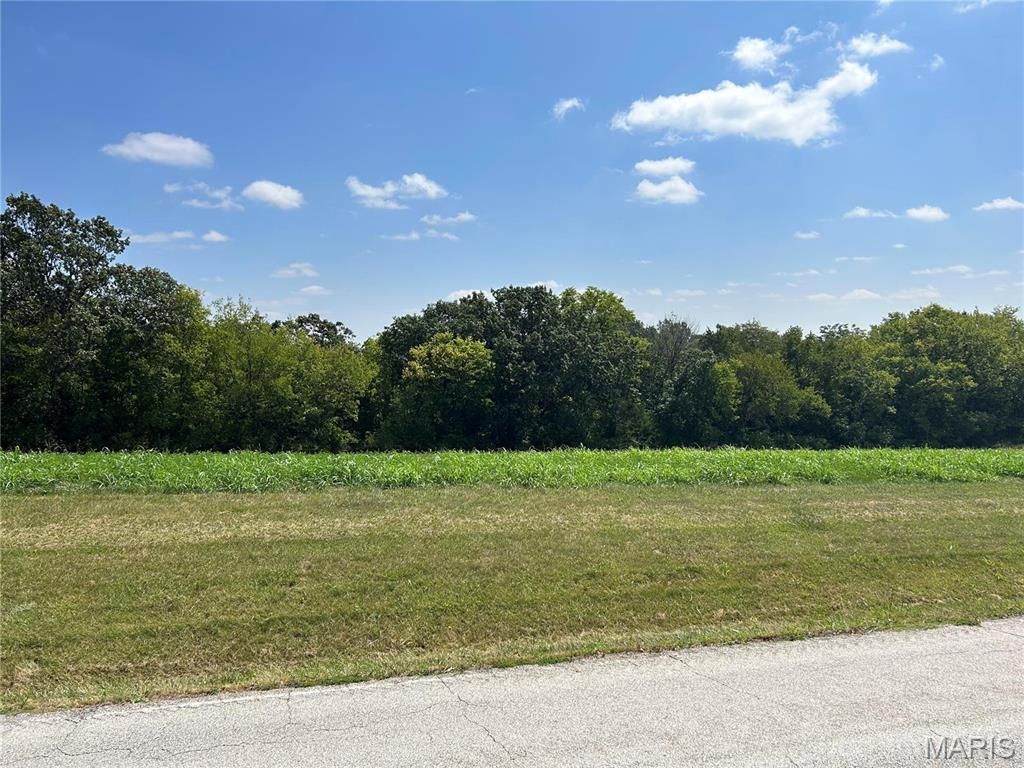 Photo of 4909 Elder Rd, Villa Ridge, MO 63089 (MLS # 26030252)