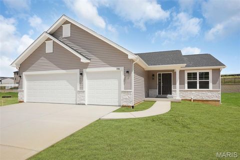 198 Cynthia Drive Truesdale MO 63380
