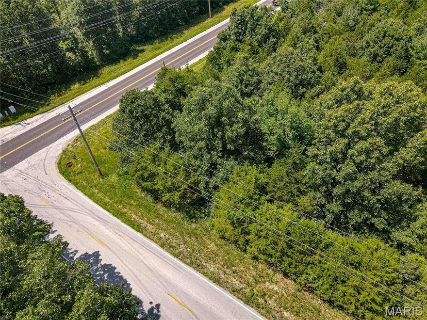 3 acres of pristine wooded land awaits its new owner. The property is untouched and sits adjacent to asphalt paved Hendricks Rd. Enveloped by the peaceful presence of tall trees and abundant wildlife, this parcel offers an ideal setting for anyone looking to build a dream home or enjoy a quiet escape into nature. Whether you imagine a cozy cabin, an eco-friendly off-grid dwelling, or a secluded retreat to immerse yourself in the outdoors, this land presents limitless potential. 3 additional acres at 1855 Hendricks road also available.