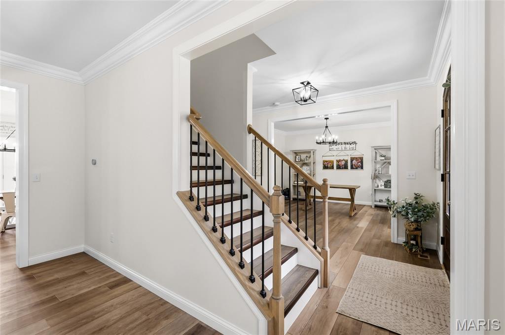 Springbrook Farm - Residential