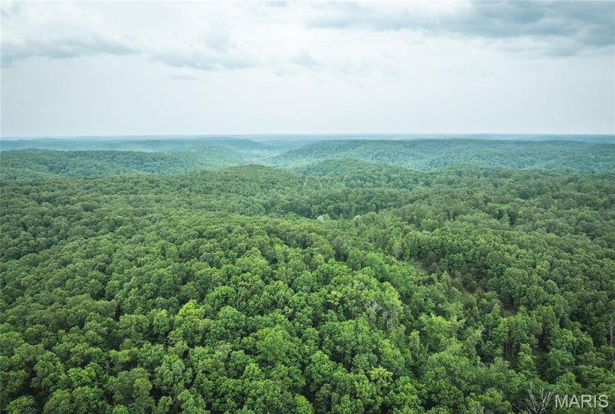 70 acres of stunning Missouri mountain beauty, perfectly suited for the outdoor enthusiast. Located just minutes from Montauk State Park and some of the best trout fishing in the state, and only two hours from St. Louis, this incredible piece of land offers a rare combination of seclusion and access. The property is a true deer and turkey sanctuary, with mature timber covering the landscape, including white oak, black oak, red oak, and cedar. Its ridgelines and varied topography create excellent natural funnels and vantage points, ideal for hunting setups or future build sites. With no restrictions, the possibilities are endless. Whether you're envisioning a private hunting camp, a weekend escape, or simply a quiet place to invest and explore, this land offers the freedom to make it your own.