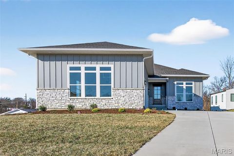 Photo of 11924 Santino Court, Creve Coeur, MO 63141 (MLS # 25081689)