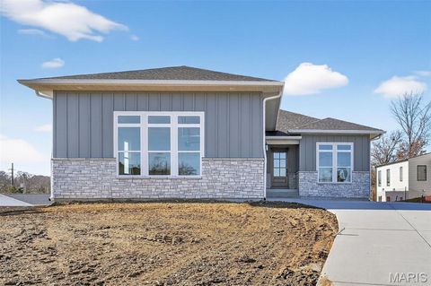 Photo of 11924 Santino Court, Creve Coeur, MO 63141 (MLS # 25081689)