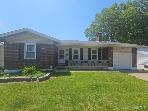 Photo of 11007 Landseer Drive, St Louis, MO 63136 (MLS # 26028165)