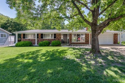 Tiny photo for 20 Elderwood Court, St Louis, MO 63026 (MLS # 26014895)
