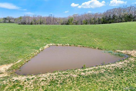 Tiny photo for 30 Highway C, New Haven, MO 63068 (MLS # 26020618)