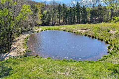 Tiny photo for 30 Highway C, New Haven, MO 63068 (MLS # 26020618)