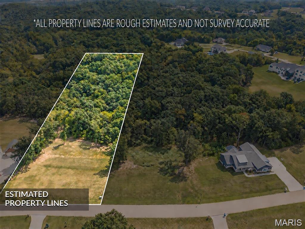 Photo of 1010 E Stonebridge Place, Festus, MO 63028 (MLS # 26066983)