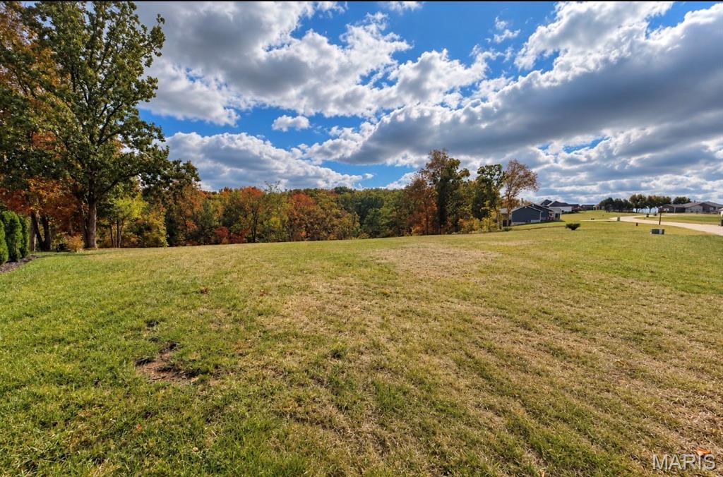 Photo of 1010 E Stonebridge Place, Festus, MO 63028 (MLS # 26066983)