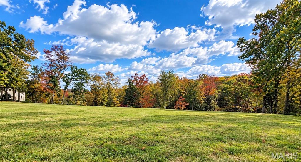 Photo of 1010 E Stonebridge Place, Festus, MO 63028 (MLS # 26066983)