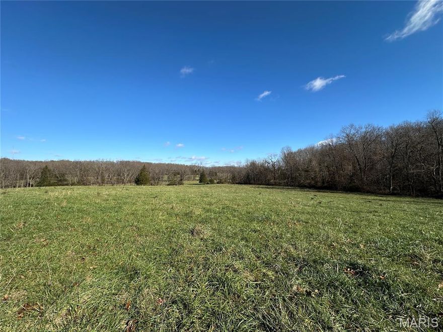 Perfect location sits this 46.26 acre parcel located just 6/10's of a mile from the city limits of Salem, MO. Ideal for building your dream home or creating a recreational retreat with a cabin.  Pretty hilltop building sites.  Enjoy the outdoors riding on your side-by-side or for the avid hunter there are deer and turkey. Property is fenced on 3 sides, a good mix of wooded and open pasture ground along with a small wildlife pond and a wet weather creek.  Whether you're an avid hunter, might want to have a few livestock, or simply seeking a peaceful getaway, this land provides ample opportunities for outdoor activities such as hiking, hunting or enjoying nature.  Just a stone's throw from town, you'll have easy access to amenities while still enjoying rural living. Deer blind and portable corral are not included. Contact us today for more information and to schedule a viewing!