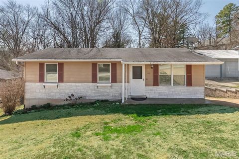 62 Boyd Avenue St Louis MO 63088