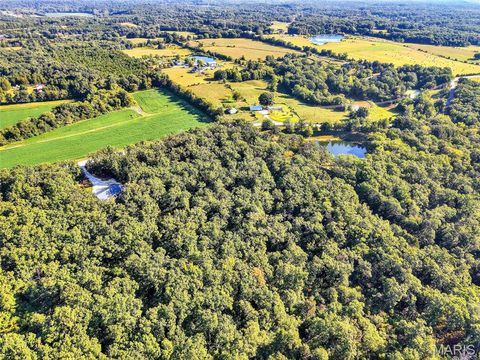 Tiny photo for 732 Schemmer Road, Wright City, MO 63390 (MLS # 25059652)