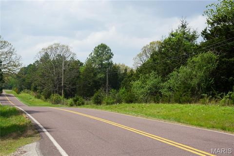 Tiny photo for 16748 State Route E, Rolla, MO 65401 (MLS # 26024257)