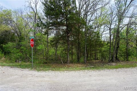 Tiny photo for 16748 State Route E, Rolla, MO 65401 (MLS # 26024257)