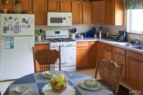 Tiny photo for 16748 State Route E, Rolla, MO 65401 (MLS # 26024257)