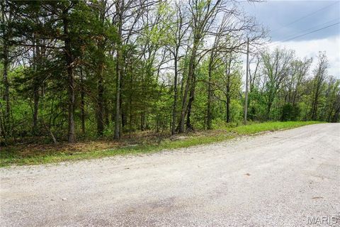 Tiny photo for 16748 State Route E, Rolla, MO 65401 (MLS # 26024257)