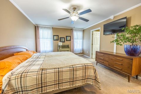 Tiny photo for 302 America Street, Wentzville, MO 63385 (MLS # 26028816)