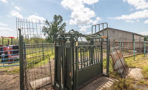 Tiny photo for 1560 Hinson Lane, St Clair, MO 63077 (MLS # 26025941)
