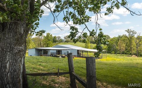 Tiny photo for 1560 Hinson Lane, St Clair, MO 63077 (MLS # 26025941)