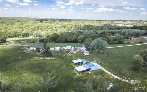 Tiny photo for 1560 Hinson Lane, St Clair, MO 63077 (MLS # 26025941)