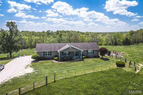 Tiny photo for 1560 Hinson Lane, St Clair, MO 63077 (MLS # 26025941)