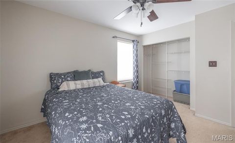 Tiny photo for 1560 Hinson Lane, St Clair, MO 63077 (MLS # 26025941)