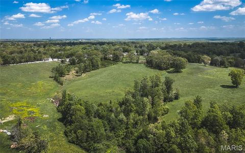 Tiny photo for 1560 Hinson Lane, St Clair, MO 63077 (MLS # 26025941)