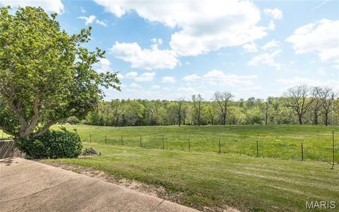 Tiny photo for 1560 Hinson Lane, St Clair, MO 63077 (MLS # 26025941)