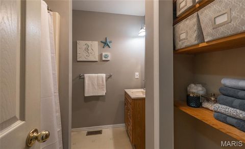 Tiny photo for 1560 Hinson Lane, St Clair, MO 63077 (MLS # 26025941)