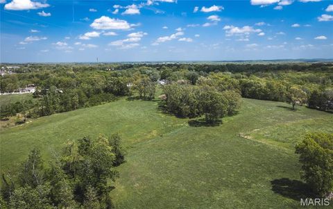 Tiny photo for 1560 Hinson Lane, St Clair, MO 63077 (MLS # 26025941)