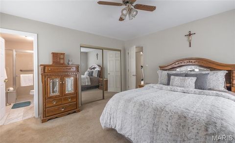 Tiny photo for 1560 Hinson Lane, St Clair, MO 63077 (MLS # 26025941)