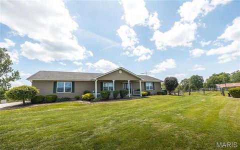 Tiny photo for 1560 Hinson Lane, St Clair, MO 63077 (MLS # 26025941)