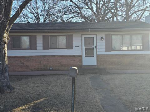 Photo of 1200 Rhea Avenue, St Louis, MO 63138 (MLS # 26004101)