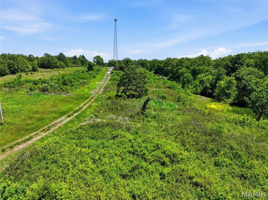 Very nice 12.5 acres of land with no restrictions. Located on blacktop with the entrance off dirt. There was a fiber optic tower placed at the very top of this property years ago, with a nice entrance road placed making it easy access for a build. There is an old well and electric available on the property. The well has not been used in many years but is still present. Rural water is also possible. There is evidence of large bucks running through this property and there is a small pond located at the corner. Across the road is a small parcel that completes the 12.75 acres but can be bought separately or this parcel can be purchased separately. Parcel is completely perimeter fenced. Owner financing available with 20 percent down.