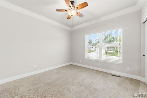 Tiny photo for 1802 Barclay Trail Drive, Wentzville, MO 63385 (MLS # 26040994)