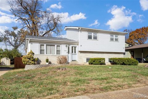 8907 Grantway Court Crestwood MO 63123