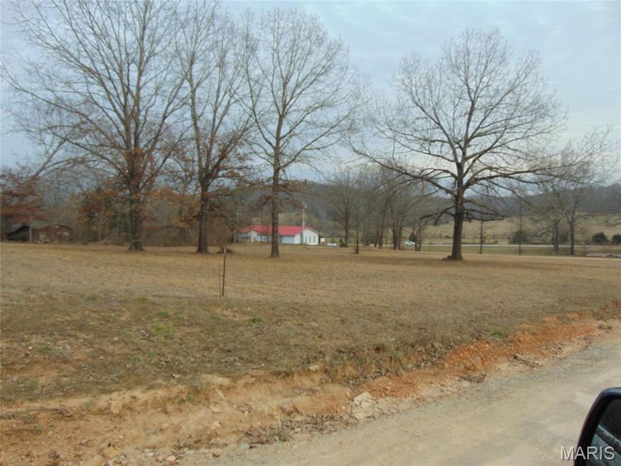 Nice, level half acre (approximately) corner building lot just minutes from Doniphan. County water and electric are available at the road. Great spot for a camper, mobile home, or to build a home. Lingo Ranchette Subdivision.
