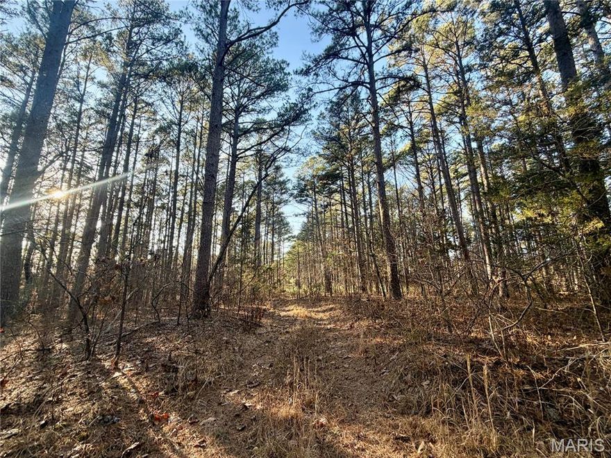 Discover 20 acres of peaceful pine woods with some oak trees too and easy access to electric - the perfect private getaway or weekend cabin site. Just a short drive to Montauk State Park's renowned trout fishing, camping and steps from the famous Current River for kayaking, canoeing and swimming. Wildlife lovers will enjoy the photos of some big bucks that frequent the property - nature lives here. Bring your plans and enjoy endless outdoor recreation. CALL TODAY!