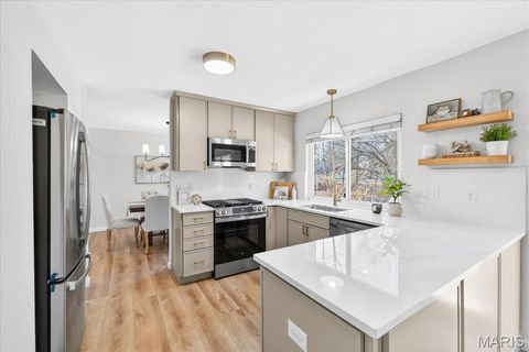 Tiny photo for 1061 Summer Tree Drive, Ballwin, MO 63011 (MLS # 26000805)