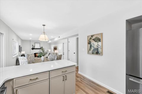 Tiny photo for 1061 Summer Tree Drive, Ballwin, MO 63011 (MLS # 26000805)